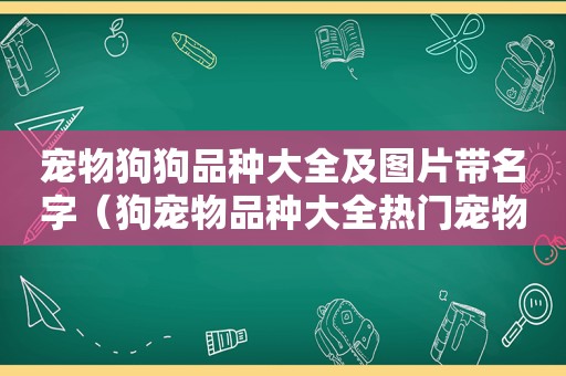 宠物狗狗品种大全及图片带名字（狗宠物品种大全热门宠物排行）