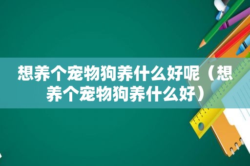 想养个宠物狗养什么好呢（想养个宠物狗养什么好）