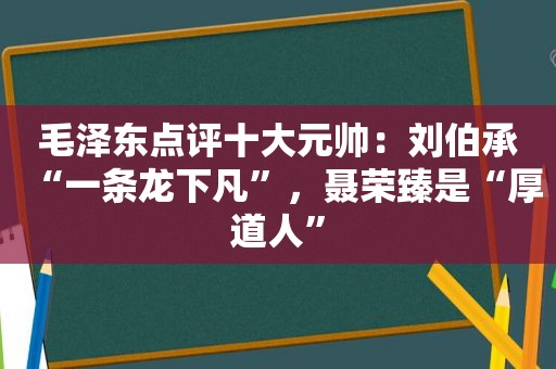  *** 点评十大元帅：刘伯承“一条龙下凡”，聂荣臻是“厚道人”