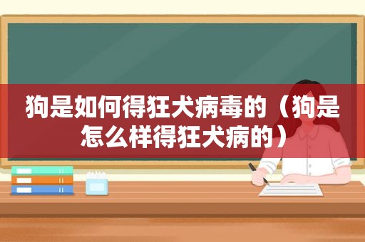 狗是如何得狂犬病毒的（狗是怎么样得狂犬病的）