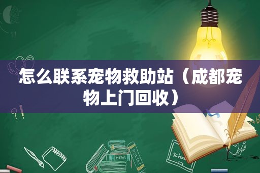 怎么联系宠物救助站（成都宠物上门回收）