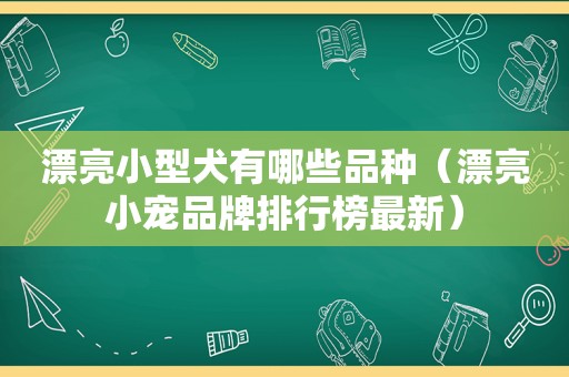 漂亮小型犬有哪些品种（漂亮小宠品牌排行榜最新）