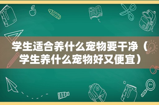 学生适合养什么宠物要干净（学生养什么宠物好又便宜）