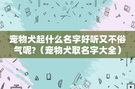 宠物犬起什么名字好听又不俗气呢?（宠物犬取名字大全）