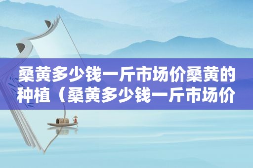 桑黄多少钱一斤市场价桑黄的种植（桑黄多少钱一斤市场价）