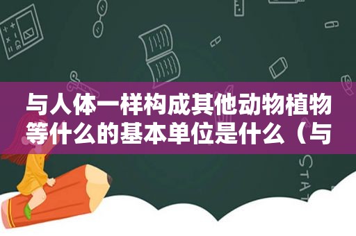 与人体一样构成其他动物植物等什么的基本单位是什么（与人体构造相似的物品）