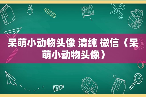 呆萌小动物头像 清纯 微信（呆萌小动物头像）