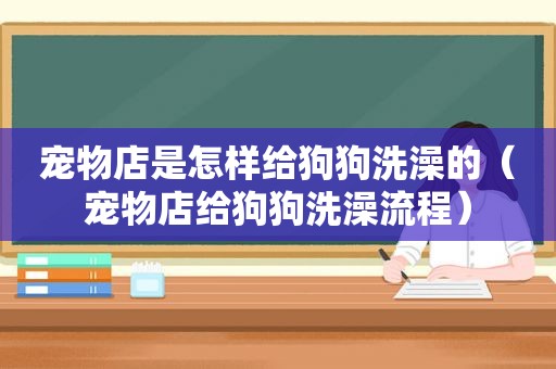 宠物店是怎样给狗狗洗澡的（宠物店给狗狗洗澡流程）