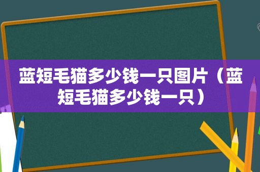 蓝短毛猫多少钱一只图片（蓝短毛猫多少钱一只）