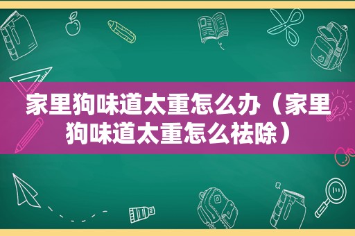 家里狗味道太重怎么办（家里狗味道太重怎么祛除）