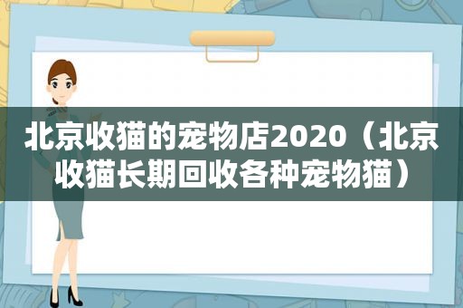 北京收猫的宠物店2020（北京收猫长期回收各种宠物猫）