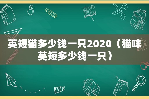 英短猫多少钱一只2020（猫咪英短多少钱一只）