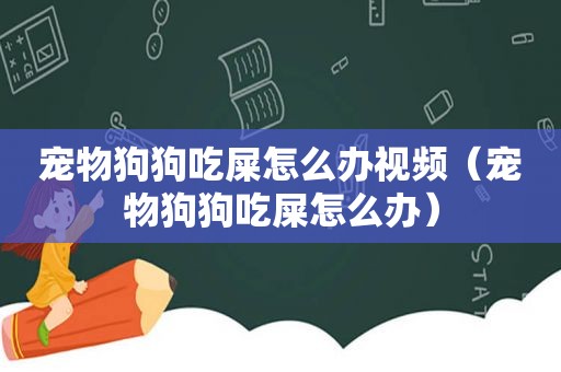 宠物狗狗吃屎怎么办视频（宠物狗狗吃屎怎么办）