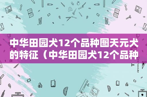 中华田园犬12个品种图天元犬的特征（中华田园犬12个品种图）