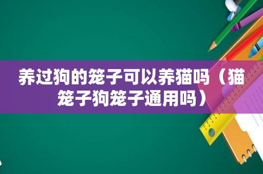 养过狗的笼子可以养猫吗（猫笼子狗笼子通用吗）