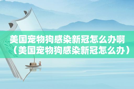 美国宠物狗感染新冠怎么办啊（美国宠物狗感染新冠怎么办）