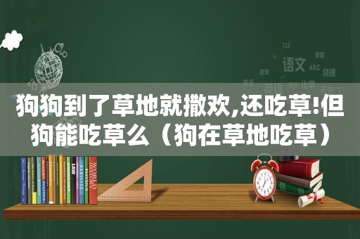 狗狗到了草地就撒欢,还吃草!但狗能吃草么（狗在草地吃草）