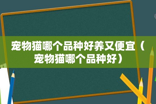 宠物猫哪个品种好养又便宜（宠物猫哪个品种好）