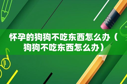 怀孕的狗狗不吃东西怎么办（狗狗不吃东西怎么办）