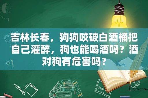 吉林长春，狗狗咬破白酒桶把自己灌醉，狗也能喝酒吗？酒对狗有危害吗？