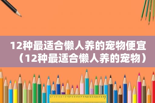 12种最适合懒人养的宠物便宜（12种最适合懒人养的宠物）