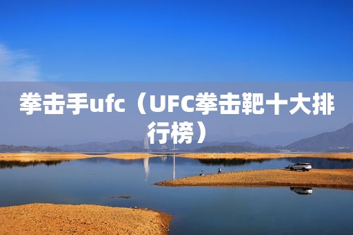 拳击手ufc（UFC拳击靶十大排行榜）