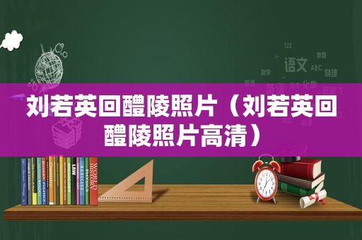 刘若英回醴陵照片（刘若英回醴陵照片高清）