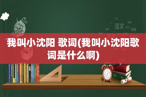 我叫小沈阳 歌词(我叫小沈阳歌词是什么啊)