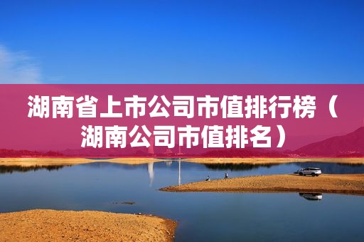 湖南省上市公司市值排行榜（湖南公司市值排名）