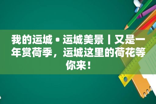 我的运城 • 运城美景丨又是一年赏荷季，运城这里的荷花等你来！