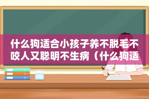 什么狗适合小孩子养不脱毛不咬人又聪明不生病（什么狗适合小孩子养）