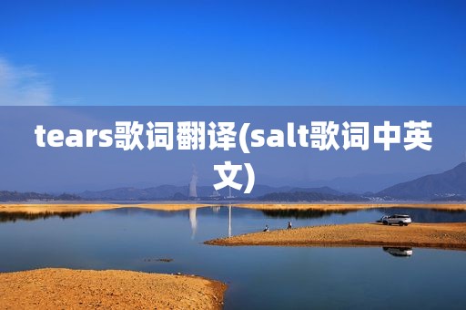 tears歌词翻译(salt歌词中英文)