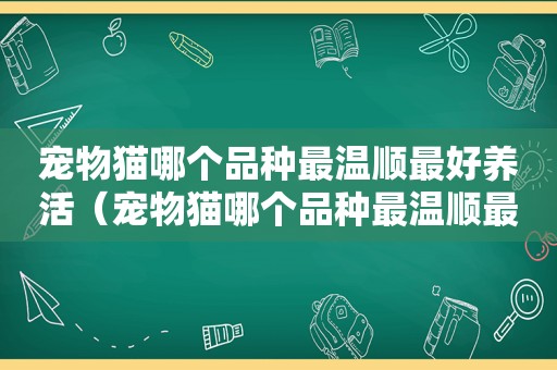 宠物猫哪个品种最温顺最好养活（宠物猫哪个品种最温顺最好养）
