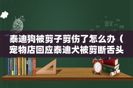 泰迪狗被剪子剪伤了怎么办（宠物店回应泰迪犬被剪断舌头）