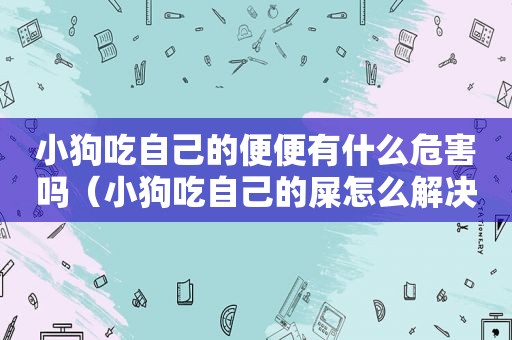 小狗吃自己的便便有什么危害吗（小狗吃自己的屎怎么解决）