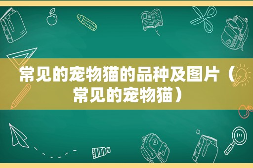 常见的宠物猫的品种及图片（常见的宠物猫）