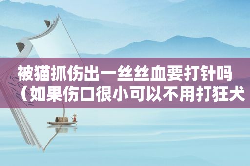 被猫抓伤出一丝丝血要打针吗（如果伤口很小可以不用打狂犬疫苗）