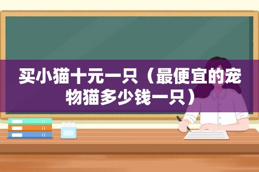 买小猫十元一只（最便宜的宠物猫多少钱一只）