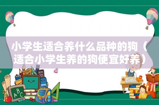 小学生适合养什么品种的狗（适合小学生养的狗便宜好养）