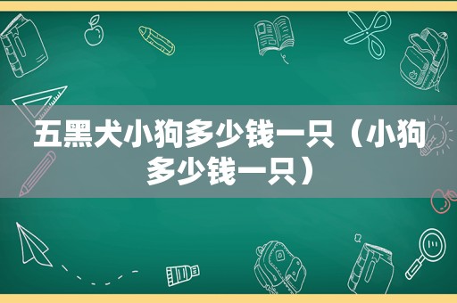 五黑犬小狗多少钱一只（小狗多少钱一只）