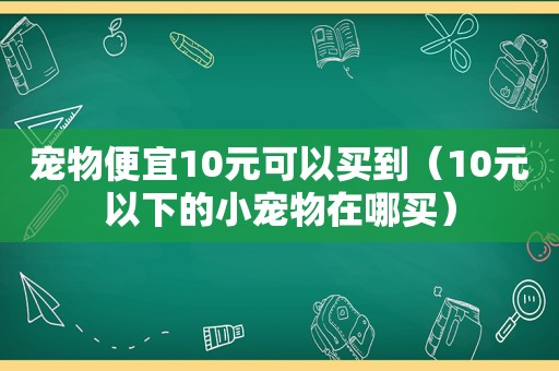 宠物便宜10元可以买到（10元以下的小宠物在哪买）