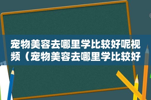 宠物美容去哪里学比较好呢视频（宠物美容去哪里学比较好呢）