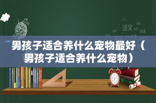 男孩子适合养什么宠物最好（男孩子适合养什么宠物）