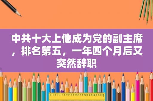  *** 十大上他成为党的副主席，排名第五，一年四个月后又突然辞职