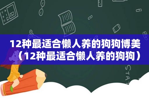 12种最适合懒人养的狗狗博美（12种最适合懒人养的狗狗）