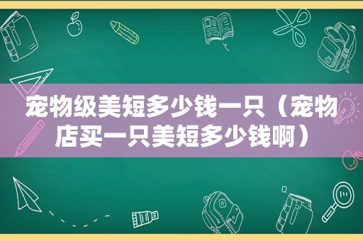 宠物级美短多少钱一只（宠物店买一只美短多少钱啊）