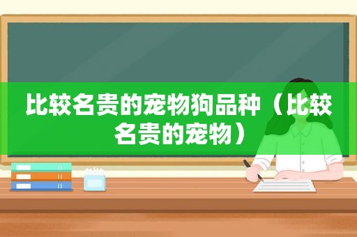 比较名贵的宠物狗品种（比较名贵的宠物）