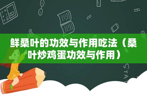 鲜桑叶的功效与作用吃法（桑叶炒鸡蛋功效与作用）