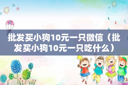 批发买小狗10元一只微信（批发买小狗10元一只吃什么）