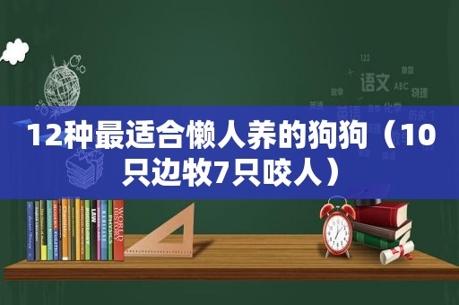 12种最适合懒人养的狗狗（10只边牧7只咬人）